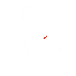 Logo G2 Esports