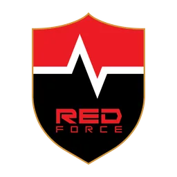 NS Challengers logo