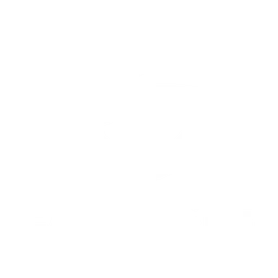 Team Secret Whales logo