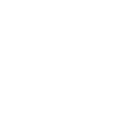DSYRE logo