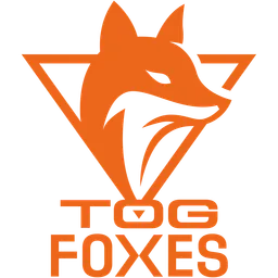 TeamOrangeGaming logo