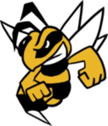 Paseka Team logo