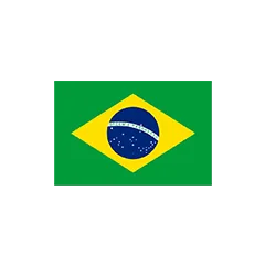 BRAZIL logo