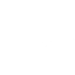 Team Secret Academy logo