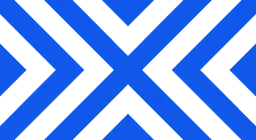 New York Excelsior logo