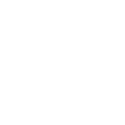 Logo Passion Project