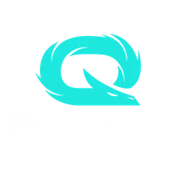 QLASH logo